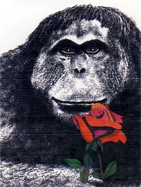 rose