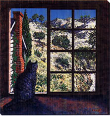 window